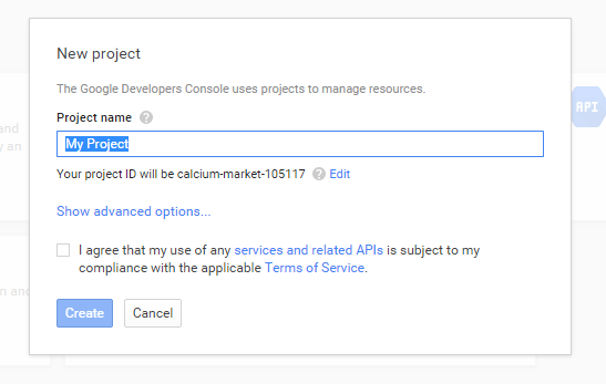 Google API 4